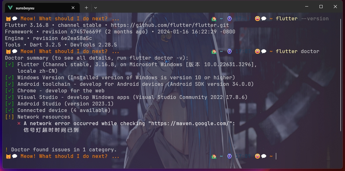 flutter doctor 图片
